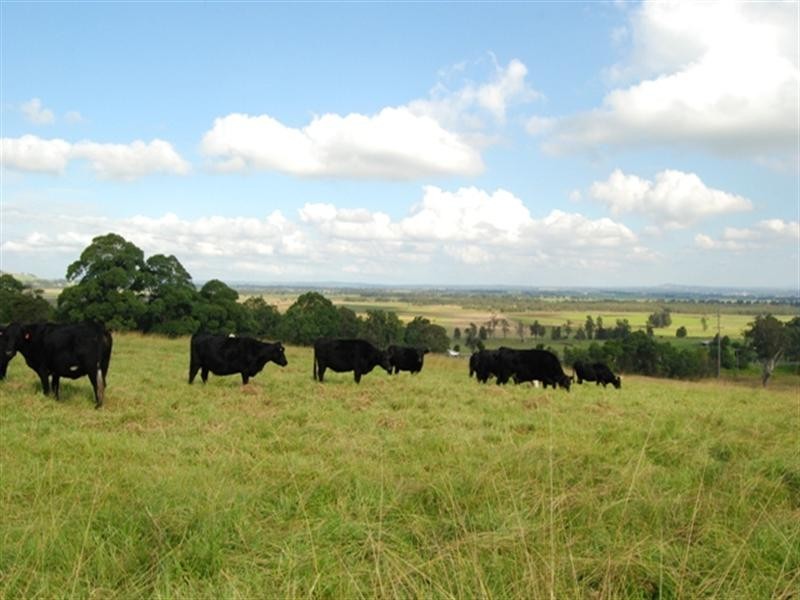 29 Strongs Road, Jaspers Brush NSW 2535