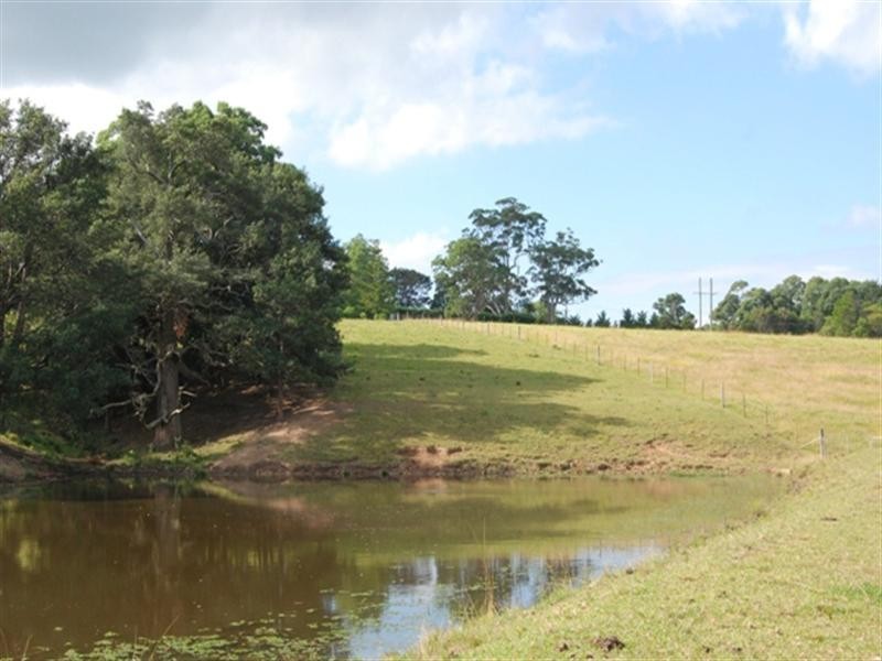 29 Strongs Road, Jaspers Brush NSW 2535