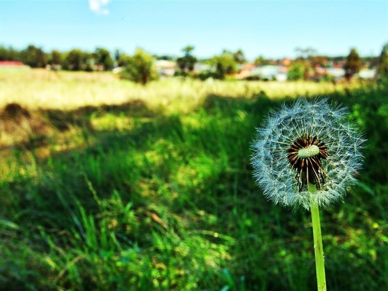 Lot 626 Sugarwood Road, Worrigee NSW 2540