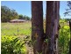 Lot 41 Flannelflower Avenue, West Nowra NSW 2541