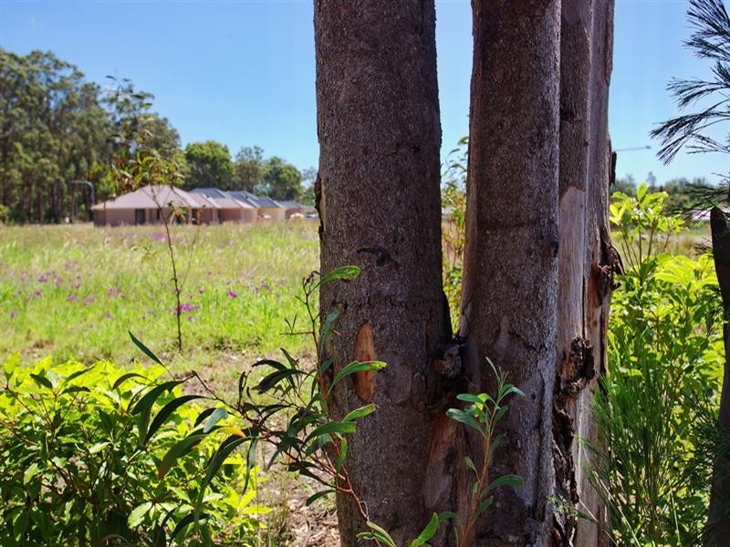 Lot 41 Flannelflower Avenue, West Nowra NSW 2541