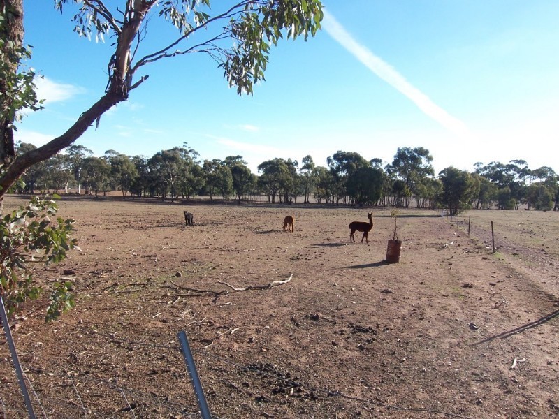109 Somerville Road, Wedderburn VIC 3518
