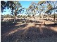 109 Somerville Road, Wedderburn VIC 3518