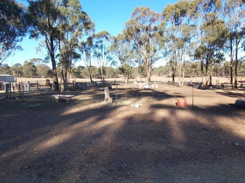 109 Somerville Road, Wedderburn VIC 3518