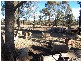 109 Somerville Road, Wedderburn VIC 3518