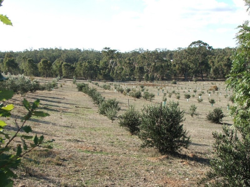 Lot 1 Doles Road, Eppalock VIC 3551