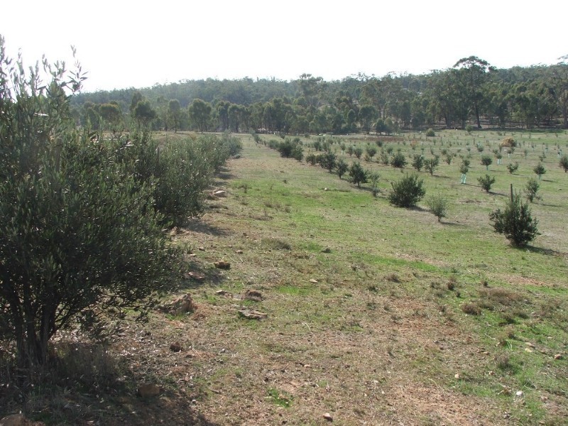 Lot 1 Doles Road, Eppalock VIC 3551