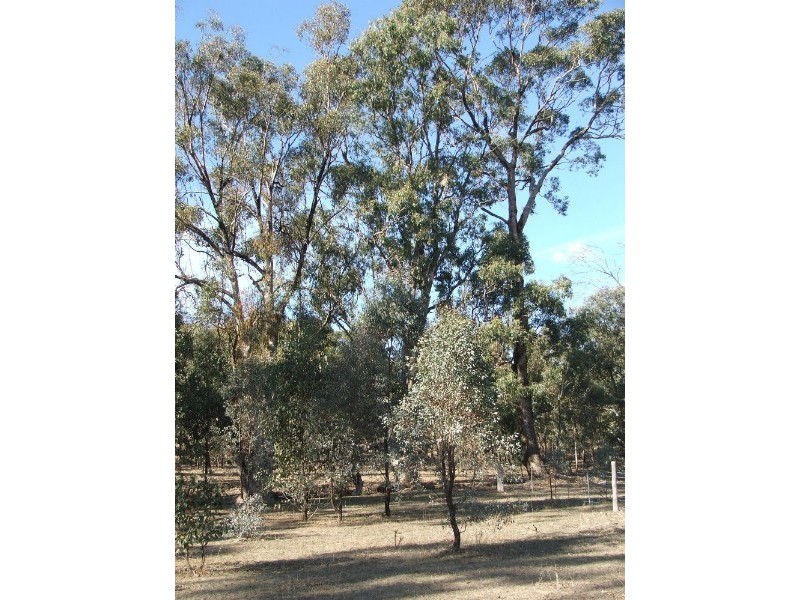 Lot 1 Doles Road, Eppalock VIC 3551