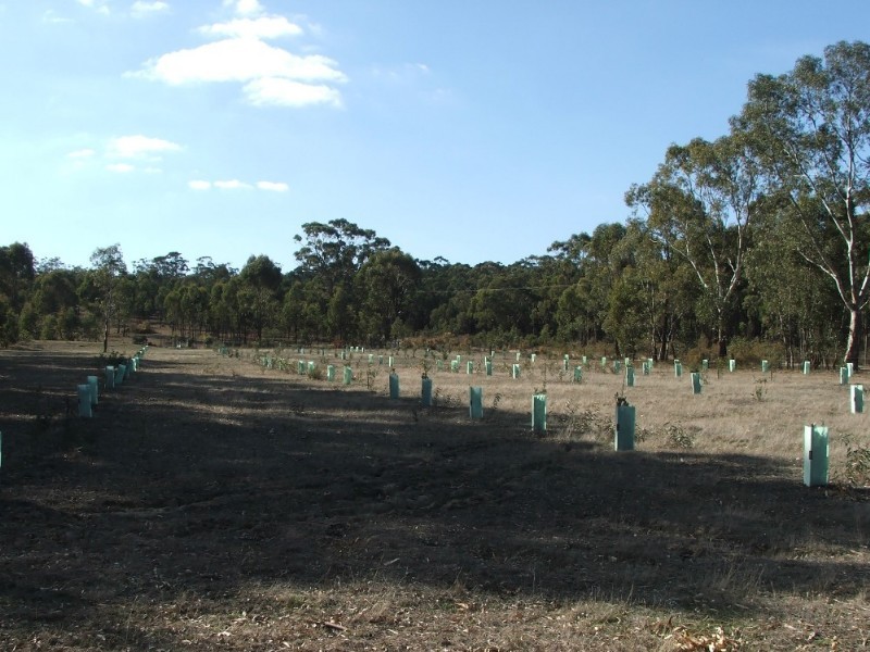 Lot 1 Doles Road, Eppalock VIC 3551