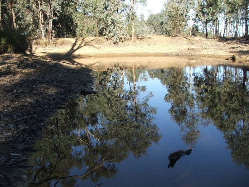 Lot 1 Doles Road, Eppalock VIC 3551