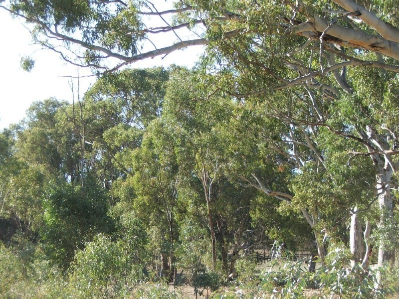 Lot 1 Doles Road, Eppalock VIC 3551