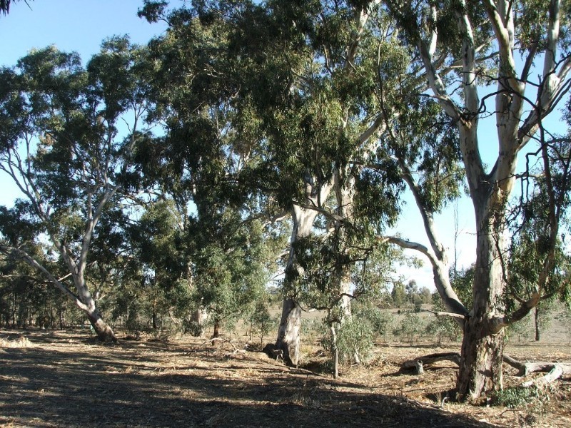 Lot 1 Doles Road, Eppalock VIC 3551