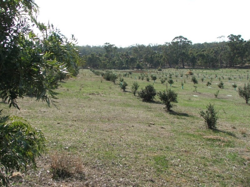 Lot 1 Doles Road, Eppalock VIC 3551