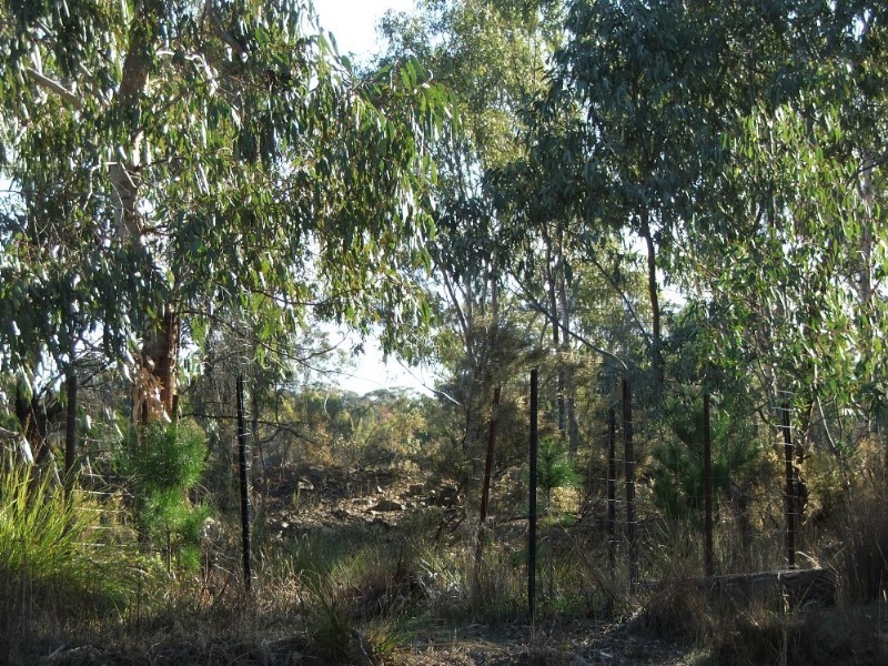 Lot 1 Doles Road, Eppalock VIC 3551