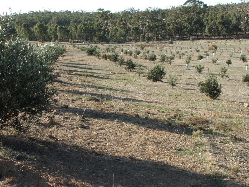 Lot 1 Doles Road, Eppalock VIC 3551