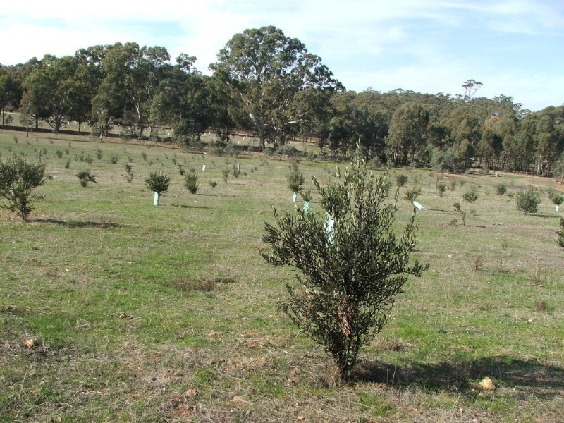 Lot 1 Doles Road, Eppalock VIC 3551