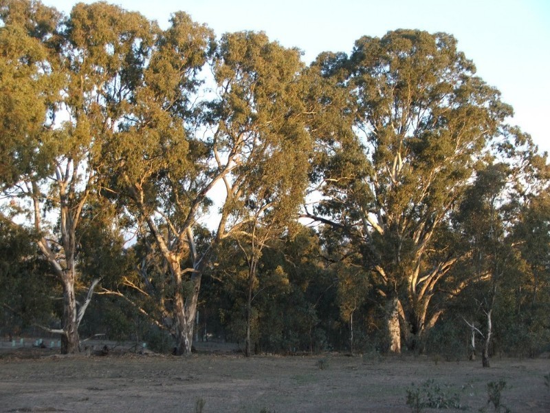 Lot 1 Doles Road, Eppalock VIC 3551