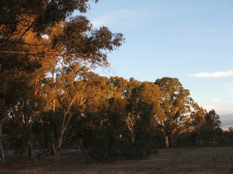 Lot 1 Doles Road, Eppalock VIC 3551