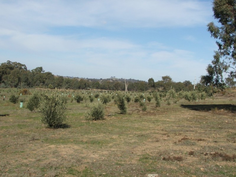 Lot 1 Doles Road, Eppalock VIC 3551