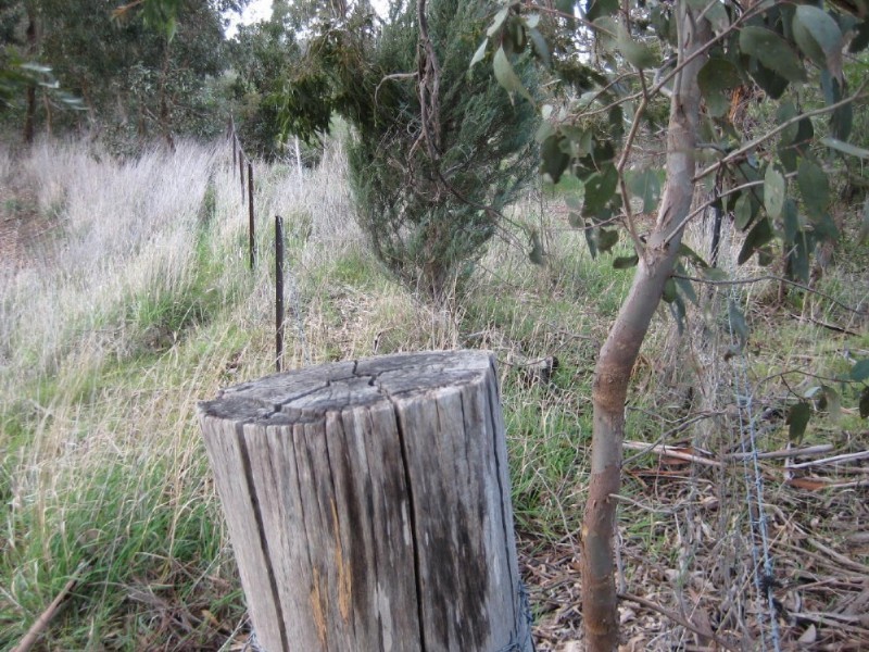 Lot R Heathcote-Redesdale Road, Mia Mia VIC 3444