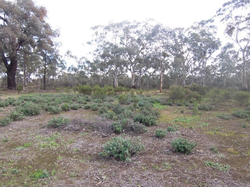 317 (24a) Bendigo Pyramid Hill Road, Woodvale VIC 3556