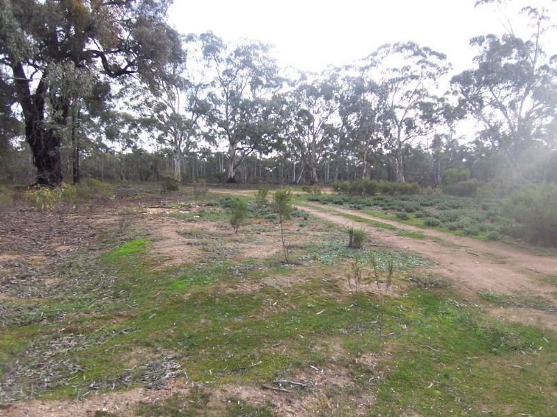 317 (24a) Bendigo Pyramid Hill Road, Woodvale VIC 3556