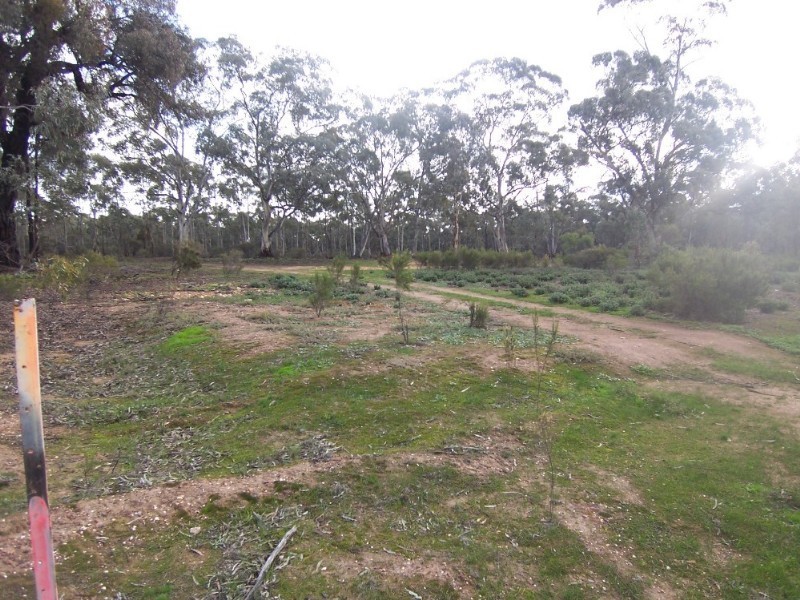 317 (24a) Bendigo Pyramid Hill Road, Woodvale VIC 3556