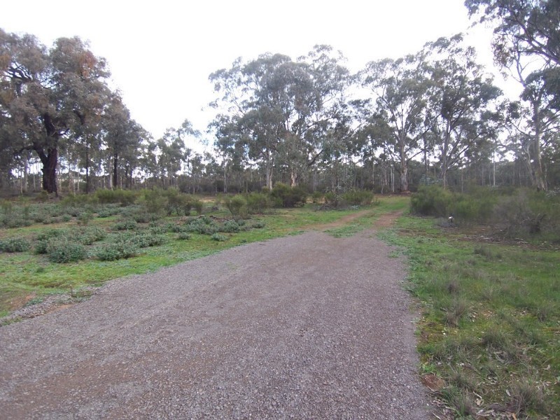 317 (24a) Bendigo Pyramid Hill Road, Woodvale VIC 3556