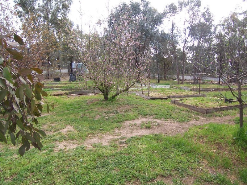 43 Curtis Road, Axe Creek VIC 3551