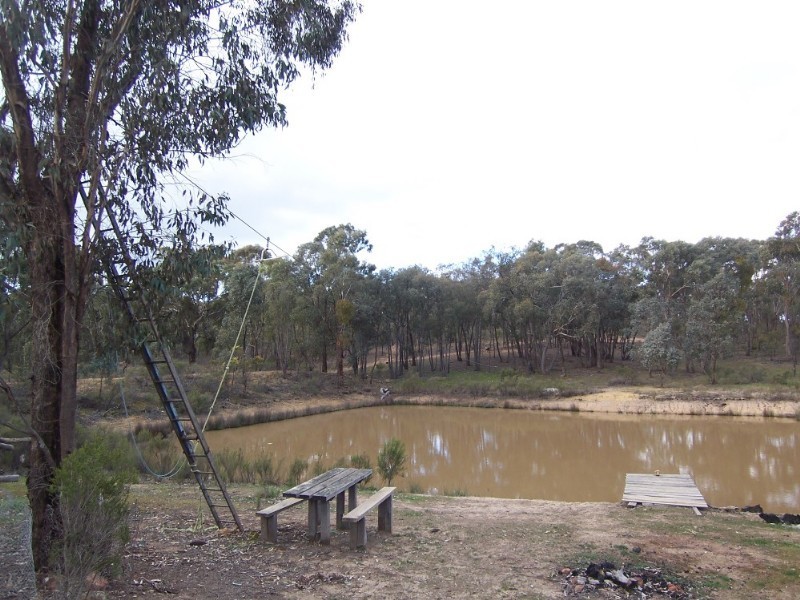 43 Curtis Road, Axe Creek VIC 3551