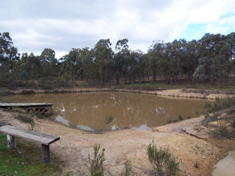 43 Curtis Road, Axe Creek VIC 3551