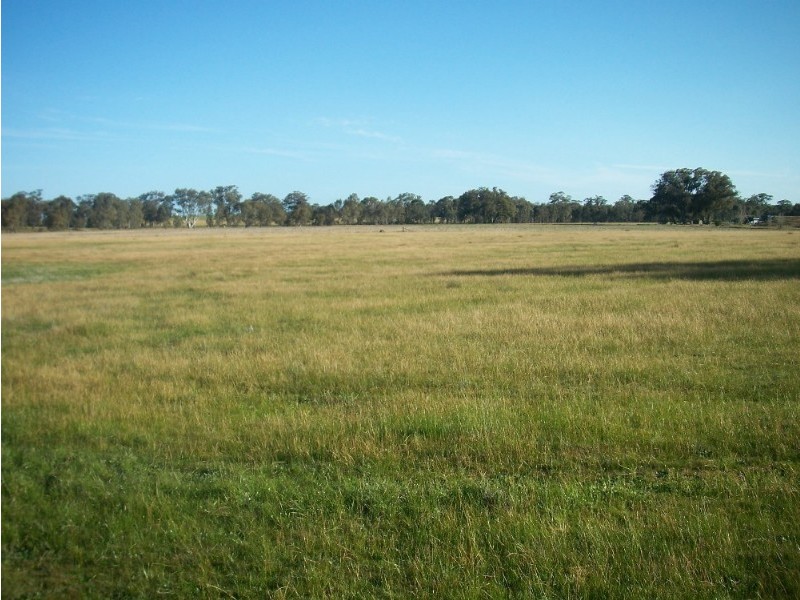 Lots 2-5 Three Chain Road, Maldon VIC 3463