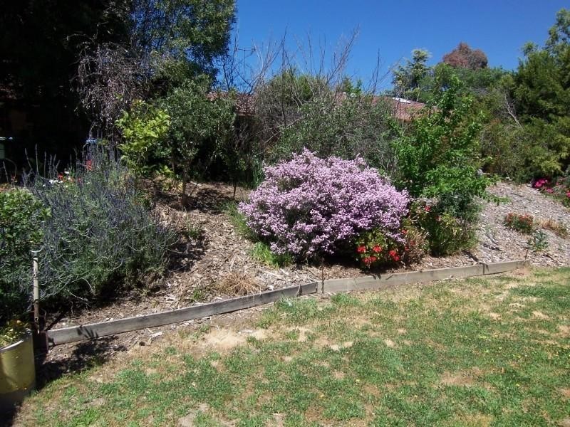 101/33 Mandurang Road, Spring Gully VIC 3550