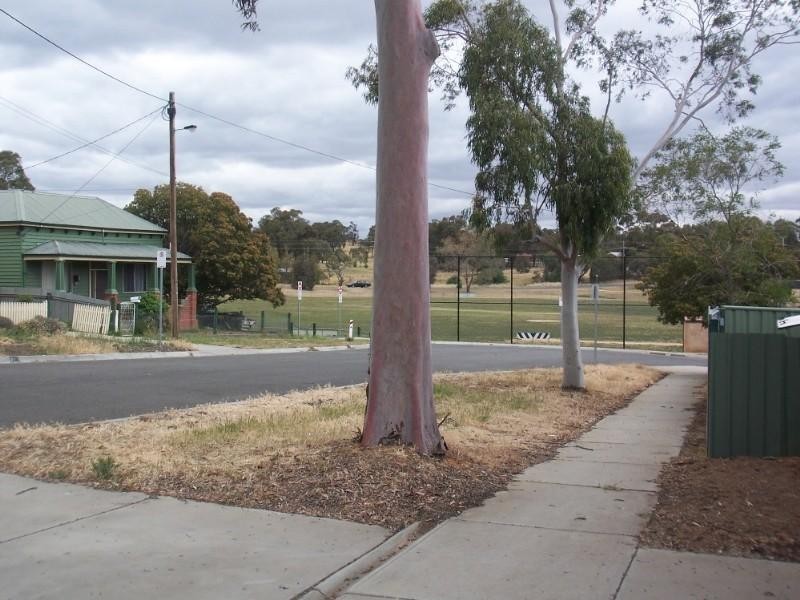 49 Hamlet Street, Quarry Hill VIC 3550