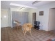 20 Harley Street, Bendigo VIC 3550