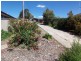 20 Harley Street, Bendigo VIC 3550