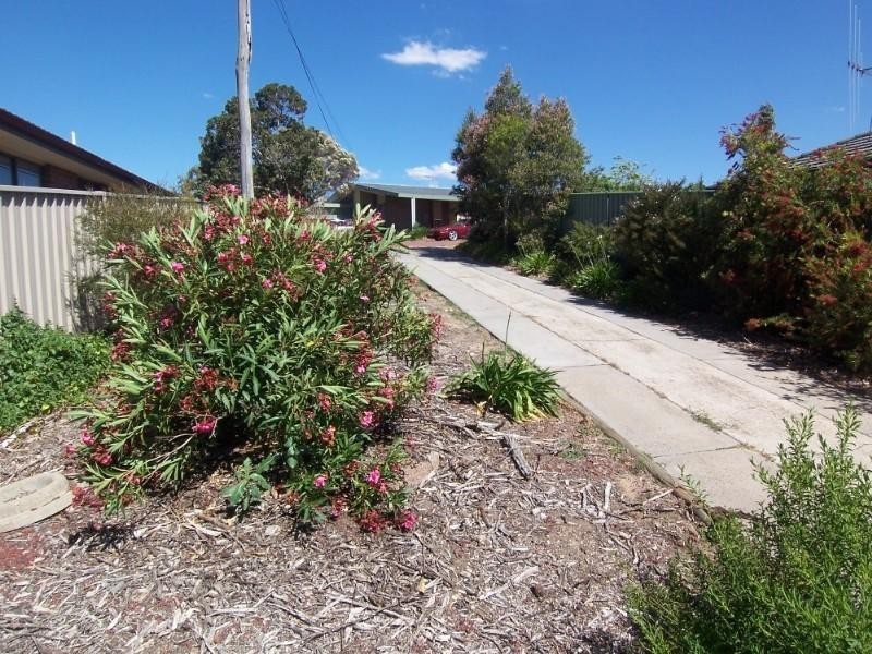 20 Harley Street, Bendigo VIC 3550