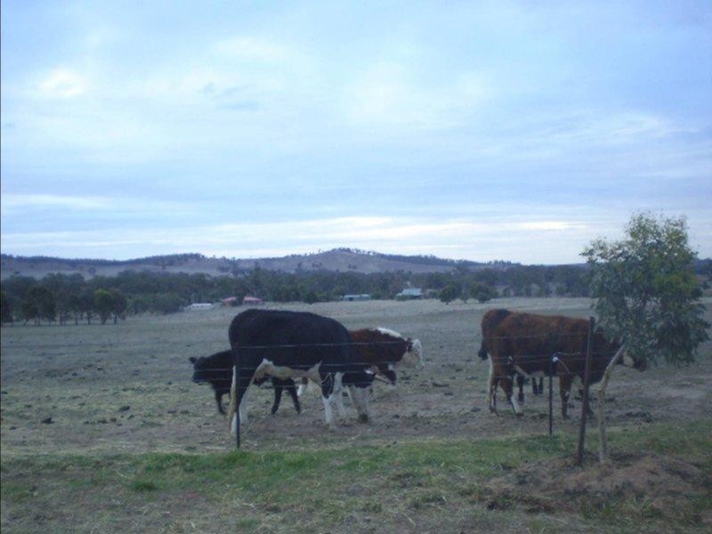 328 Maldon Road, Lockwood South VIC 3551