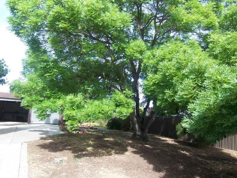 Bendigo VIC 3550