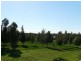 Bendigo VIC 3550