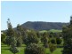 Bendigo VIC 3550