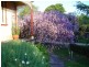 Maldon VIC 3463