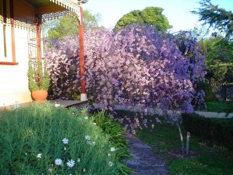 Maldon VIC 3463