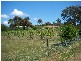 Lot11 65 Faradale Drive, Faraday VIC 3451
