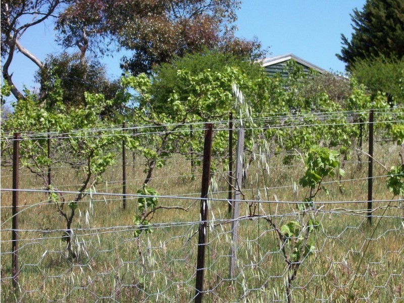 Lot11 65 Faradale Drive, Faraday VIC 3451