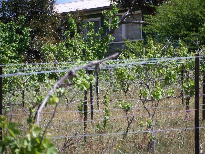 Lot11 65 Faradale Drive, Faraday VIC 3451