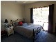 13 Louey Drive, Bendigo VIC 3550