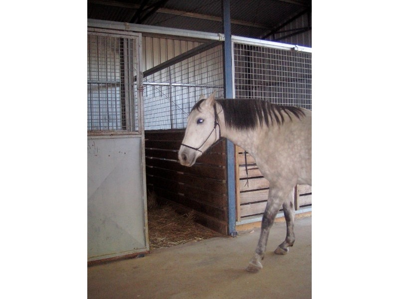 113 Swanwater Drive, Bendigo VIC 3550