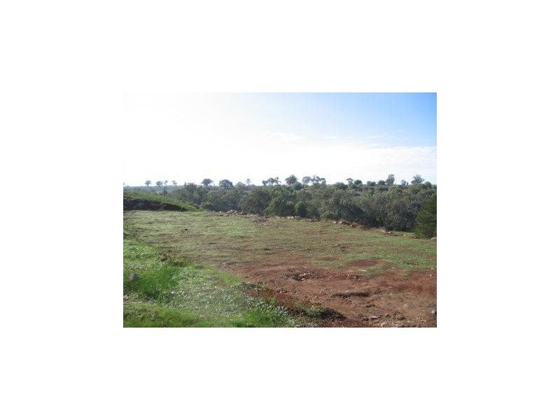 4 Campaspe Drive, Axedale VIC 3551