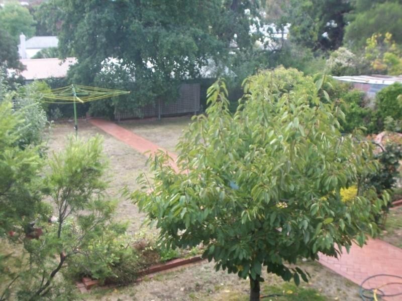 Castlemaine VIC 3450